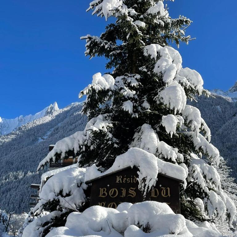 Résidence Bois du Bouchet, appartement vue montagne, calme, parking gratuit, proche centre - Appartement 1 Chambre - 23