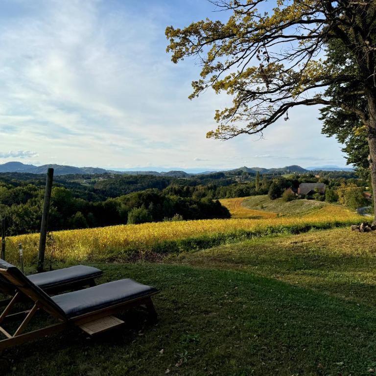 Ferienhaus Panorama - Gamlitz - Casa con 2 Camere da Letto - 33