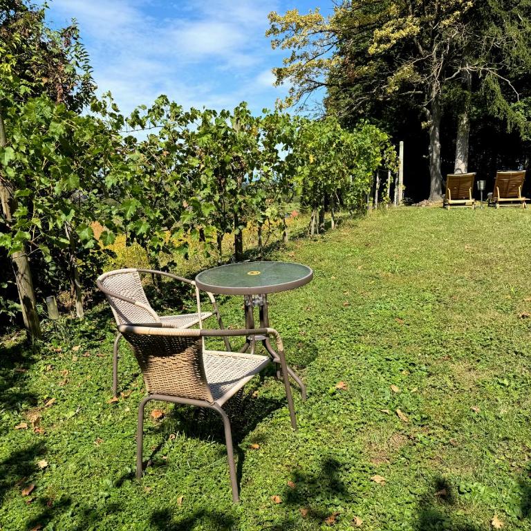 Ferienhaus Panorama - Gamlitz - Casa con 2 Camere da Letto - 21