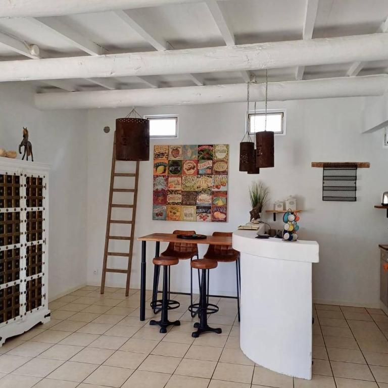 Superbe mazet en Camargue, jardin, parking, terrasses, climatisation, internet - Maison 2 Chambres - 4