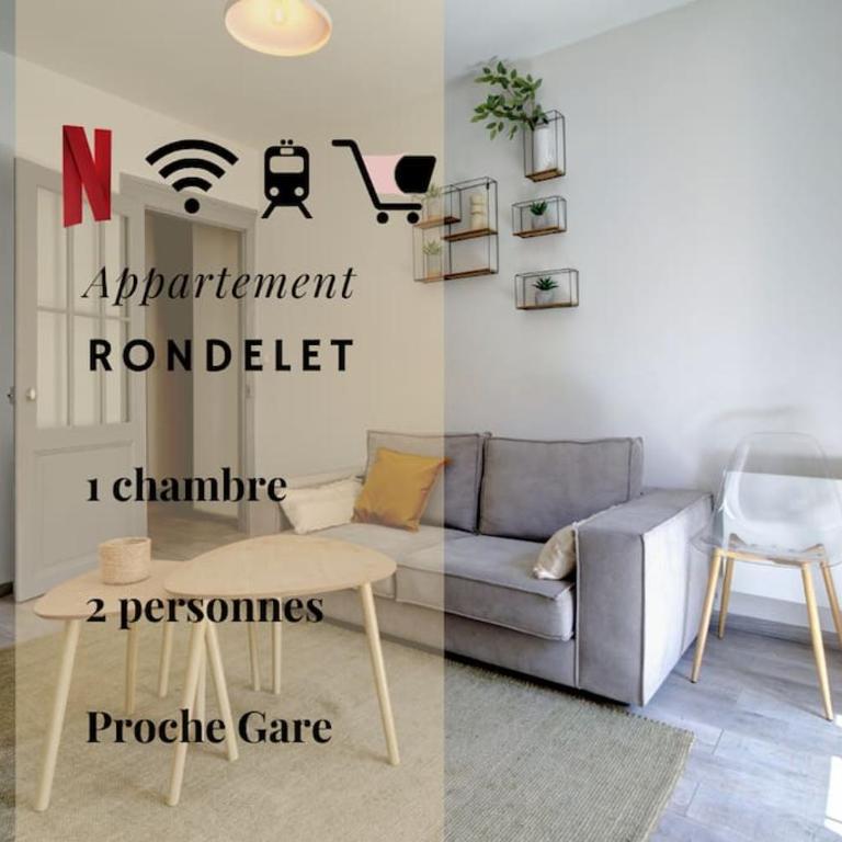 038 - St Denis 2, Appartement 1 CHB, Wifi, Gare St Roch, Centre Ville - Appartement 1 Chambre - 1