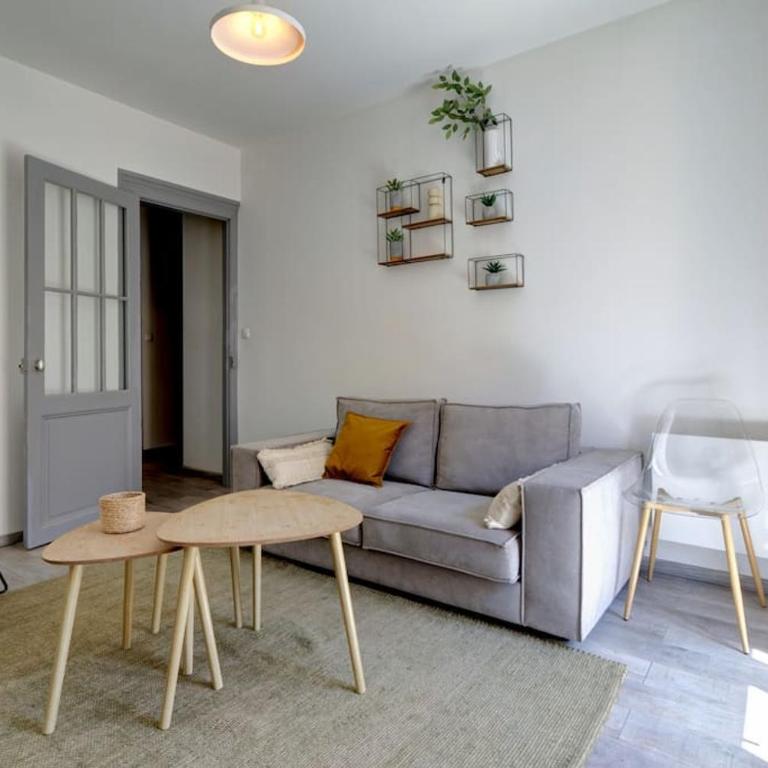 038 - St Denis 2, Appartement 1 CHB, Wifi, Gare St Roch, Centre Ville - Appartement 1 Chambre - 6