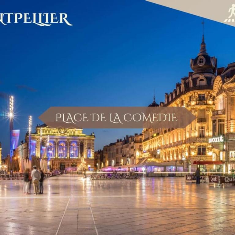 038 - St Denis 2, Appartement 1 CHB, Wifi, Gare St Roch, Centre Ville - Appartement 1 Chambre - 27