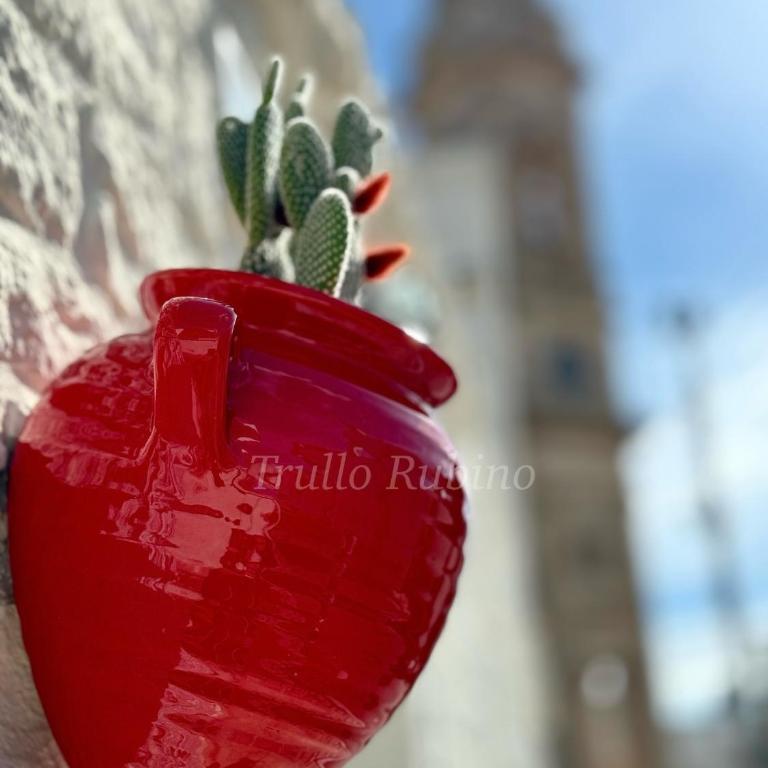 Trullo Rubino - Casa Vacanze - 3