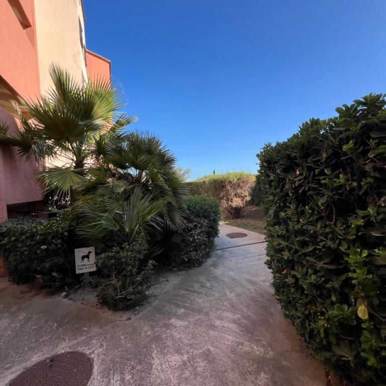 Le Panorama du Tropique Saint Cyprien - Saint-Cyprien-Plage - Perpignan 66 Vue mer - Front de mer - One-Bedroom Apartment - 22