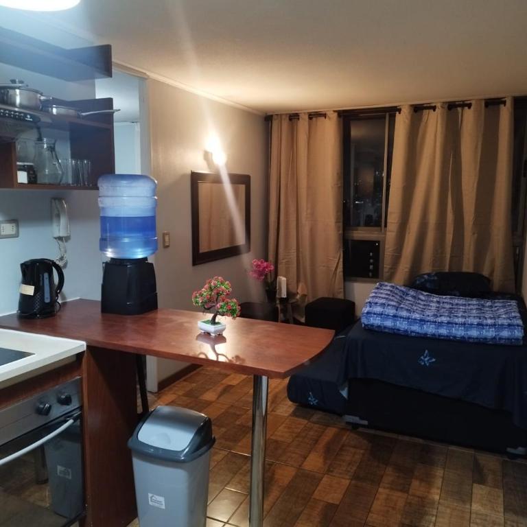 Andina suite 3 - Apartamento de 2 dormitorios - 2