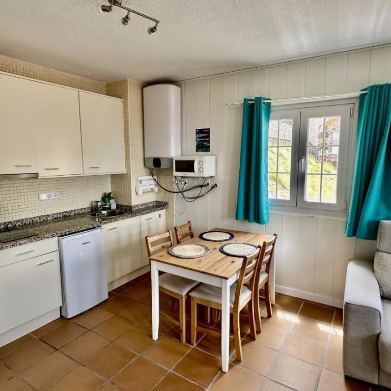 Nevadahome Arttyfal studio junto al Telesilla - Apartamento de 1 dormitorio - 11