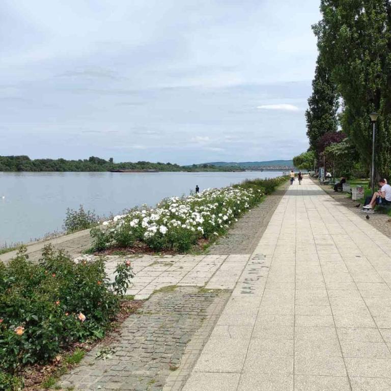 Dorcol Downtown Sunset - Apartman sa 1 Spavaćom Sobom - 22