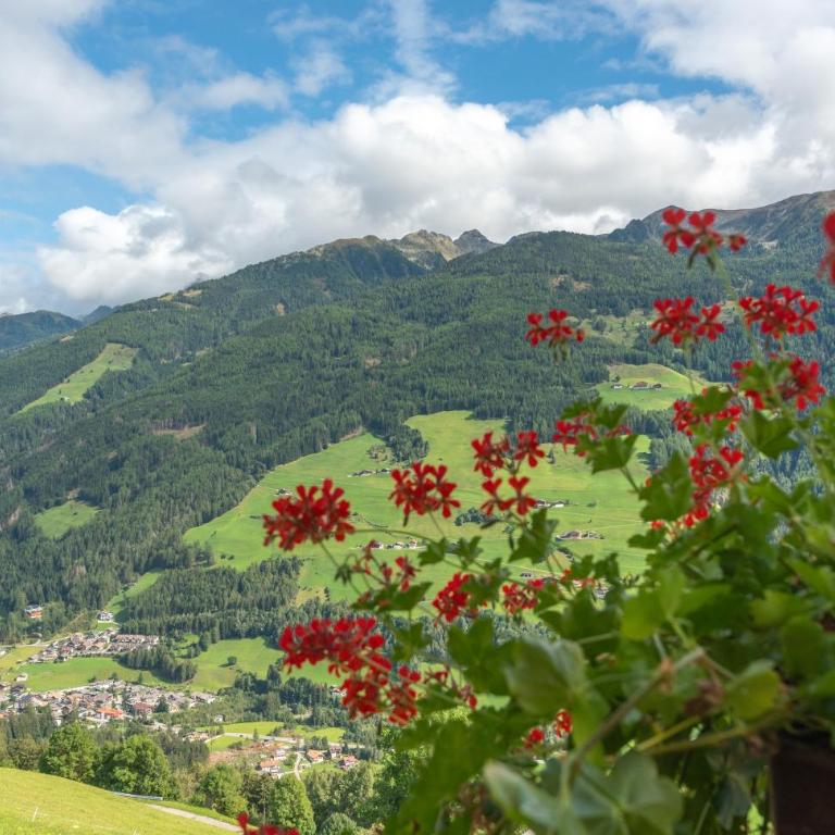 Ortnerhof - Appartamento con 2 Camere da Letto - 10