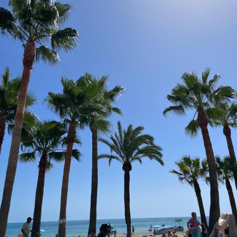 Horizonte 1 Cosy apartment with incredible sea view at first line of Fuengirola Beach - Three-Bedroom Apartment with Sea View - 33