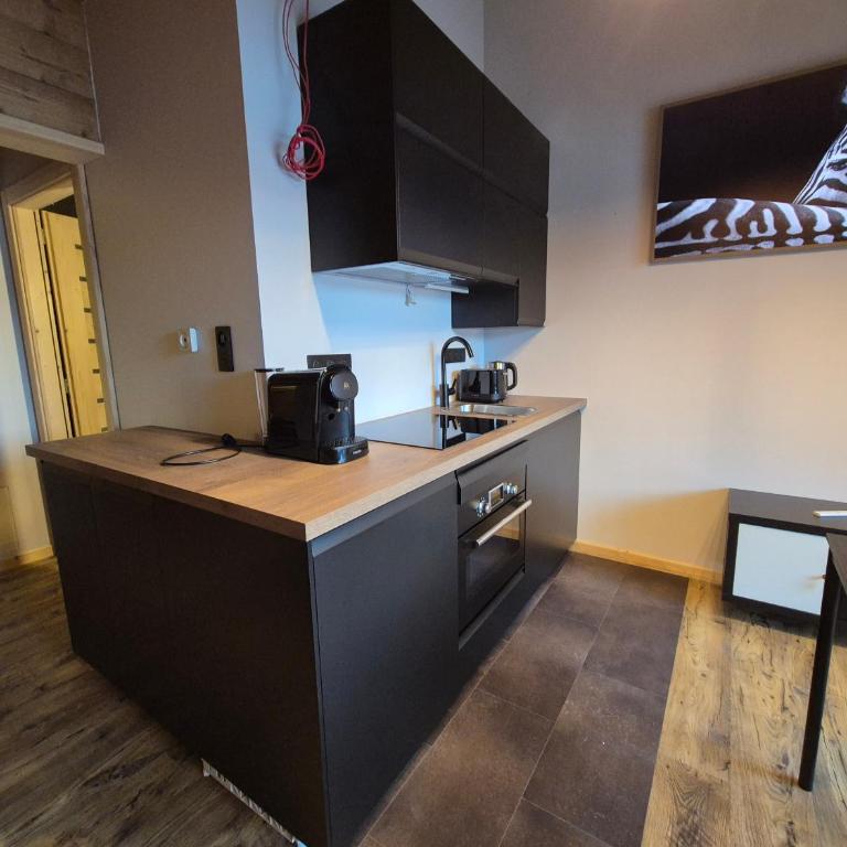 L'Or du Lac - Appartement 1 Chambre Deluxe - 13