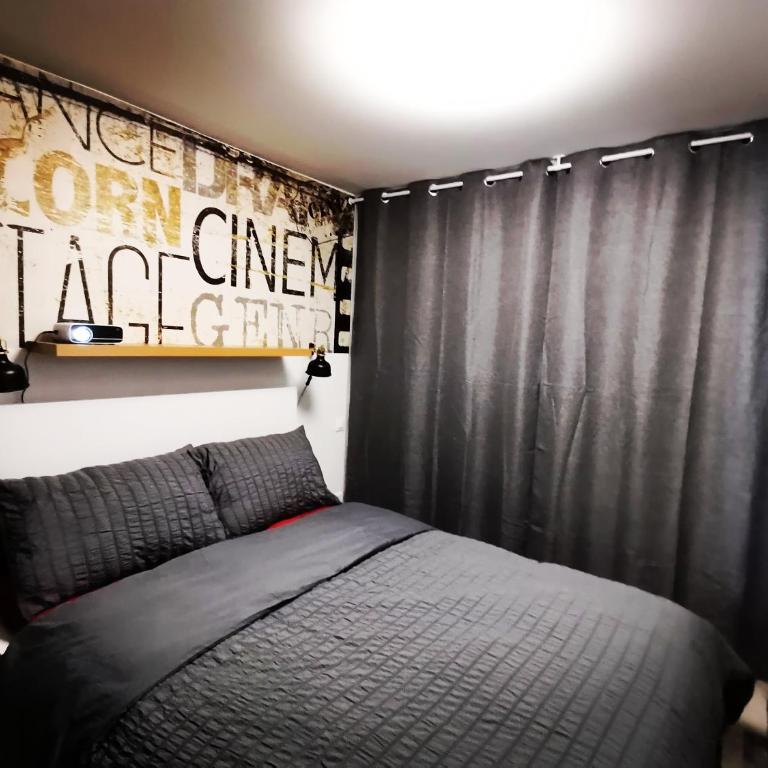 Proche de Nancy centre, appart cinéma rénové avec parking gratuit - Apartment mit 1 Schlafzimmer - 3