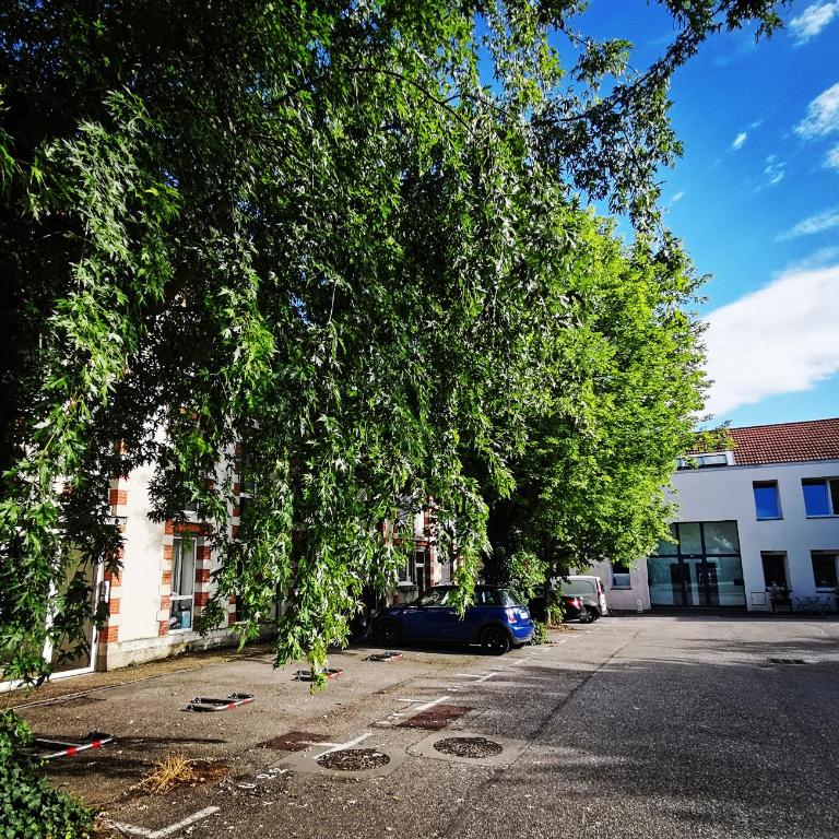 Proche de Nancy centre, appart cinéma rénové avec parking gratuit - Apartment mit 1 Schlafzimmer - 15
