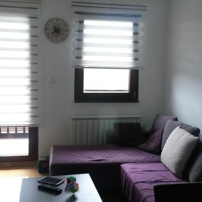 VIOLA apartment Zlatiborski konaci - Apartman sa 1 Spavaćom Sobom - 3