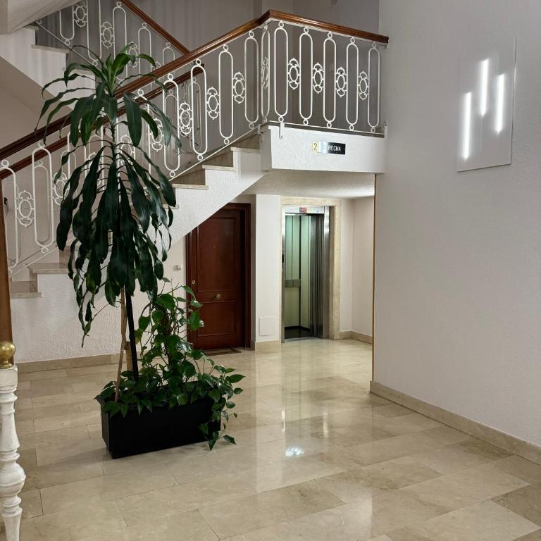 Apartamento PioXII Center - Apartamento de 3 dormitorios - 33