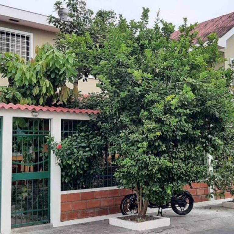 Departamento Puerto Azul via a la costa - Apartment - 13