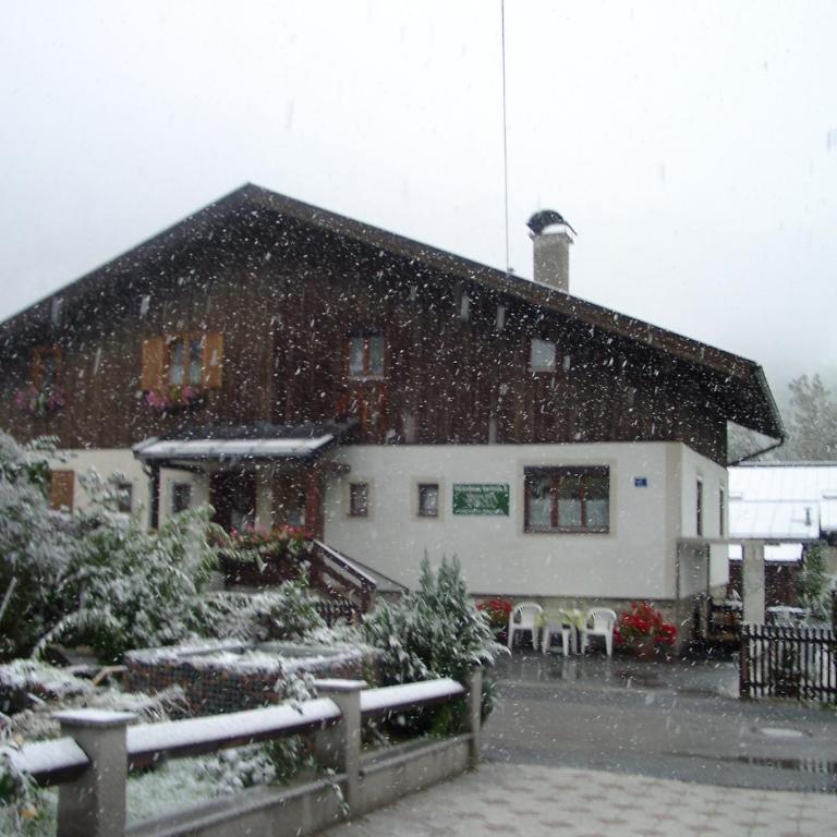 Ferienhaus Gerlinde II - Chalet (4-12 Erwachsene) - 19