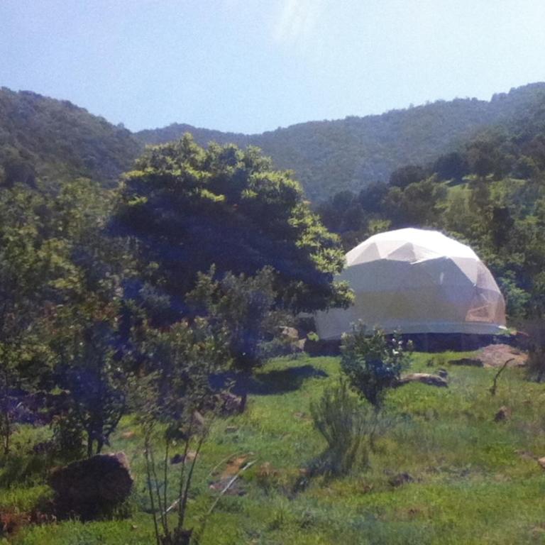 Domo Geodesico en Reserva Mundial de la Biosfera - One-Bedroom House - 9