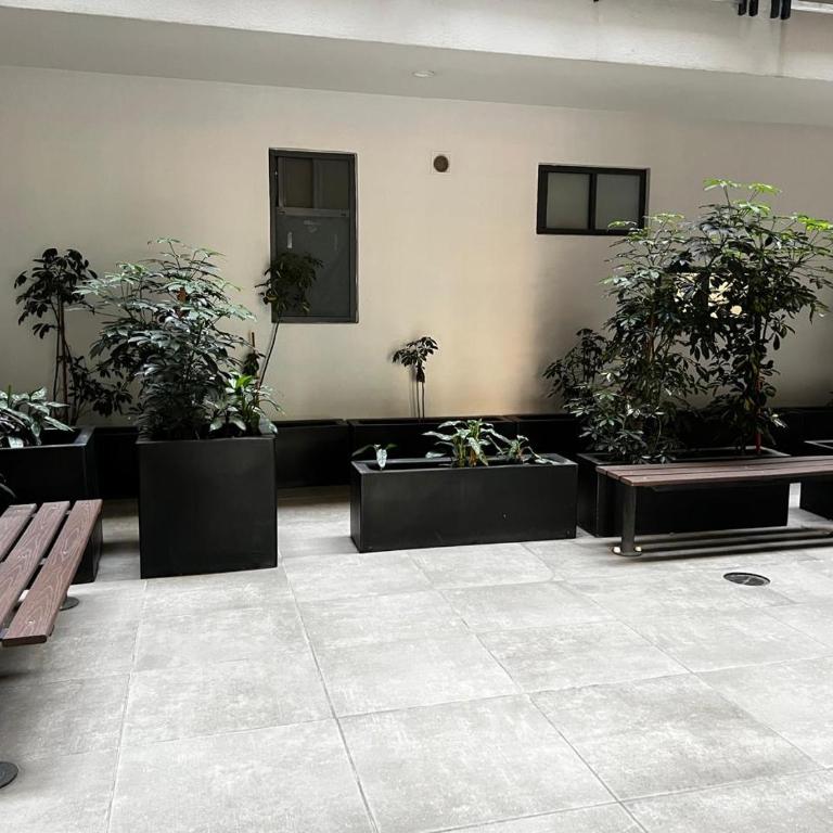 Centro y tradición, departamento moderno - Apartamento de 2 dormitorios - 1