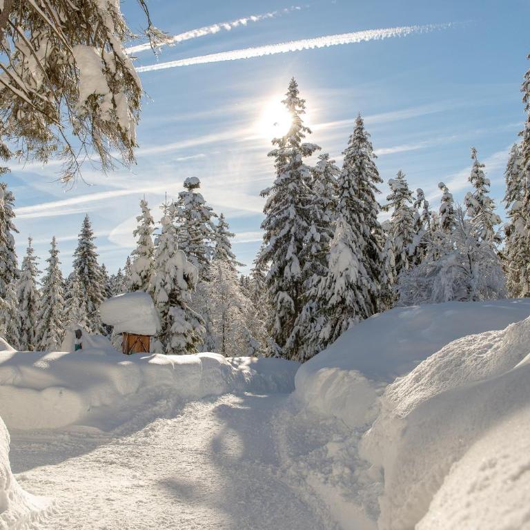 Sissi green Chalets - Chalet mit 3 Schlafzimmern - 57