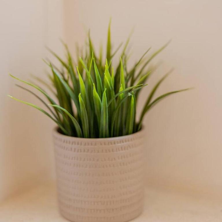 Lux apartment in city center - Apartman sa Terasom - 26