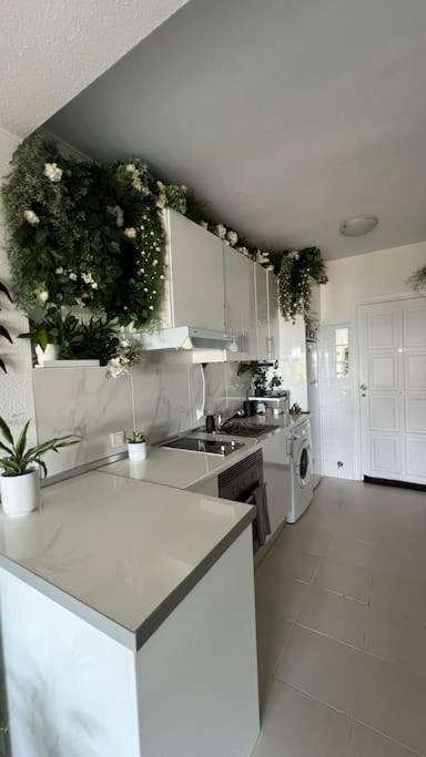 Apartamento Marina del Sol 121 - One-Bedroom Apartment - 6