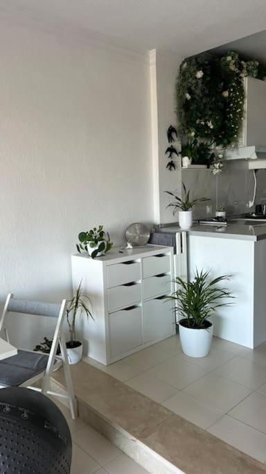Apartamento Marina del Sol 121 - One-Bedroom Apartment - 12
