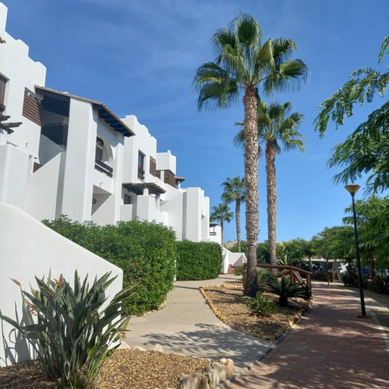 Vera La Hermosa - Apartamento - Planta baja - 26