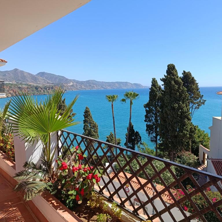 carabeo perla POOL CENTRO - Two-Bedroom Apartment - 11