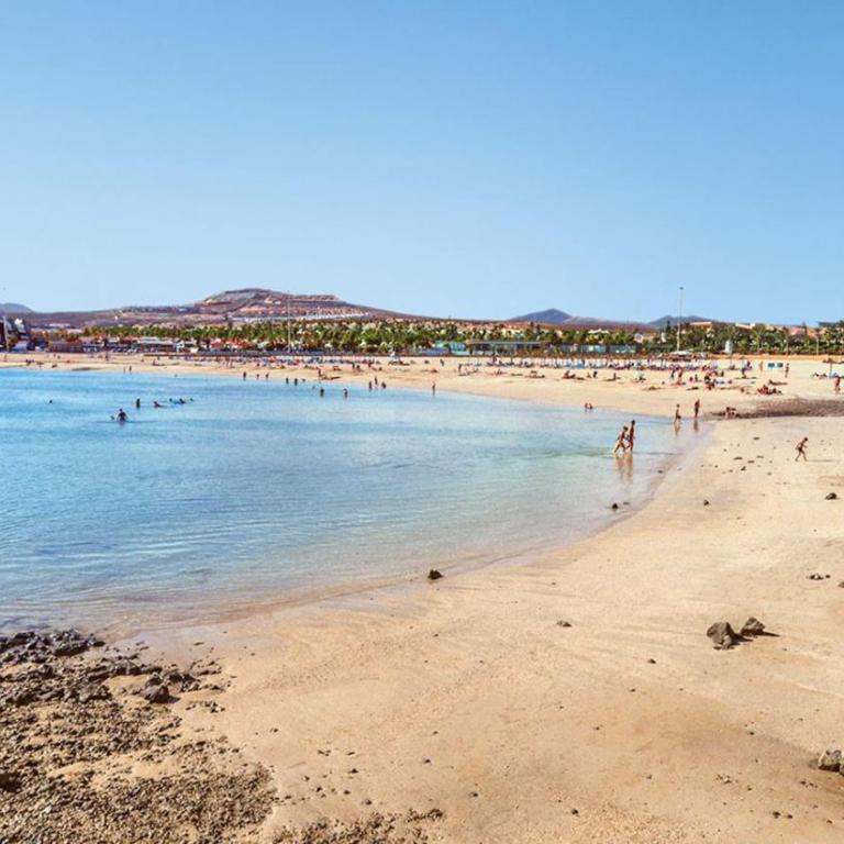 Caleta Puerta del Sol - One-Bedroom Apartment - 14