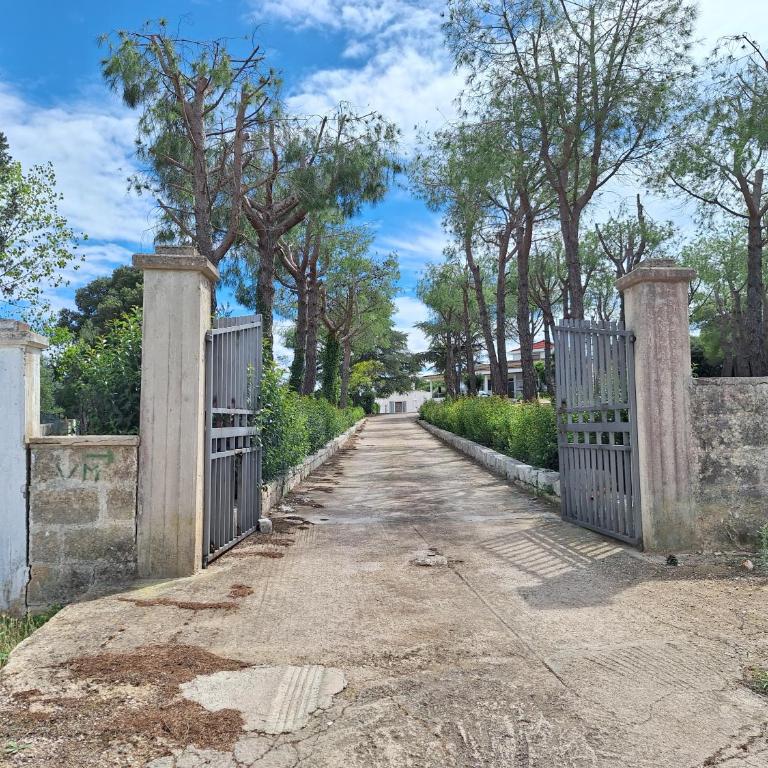 Holiday Home Trullo Antico - Camera Familiare Superior - 17