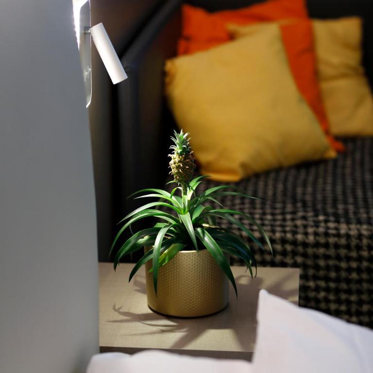 The Sydney Hotel - Camera Comfort Doppia con Letti Singoli - 1