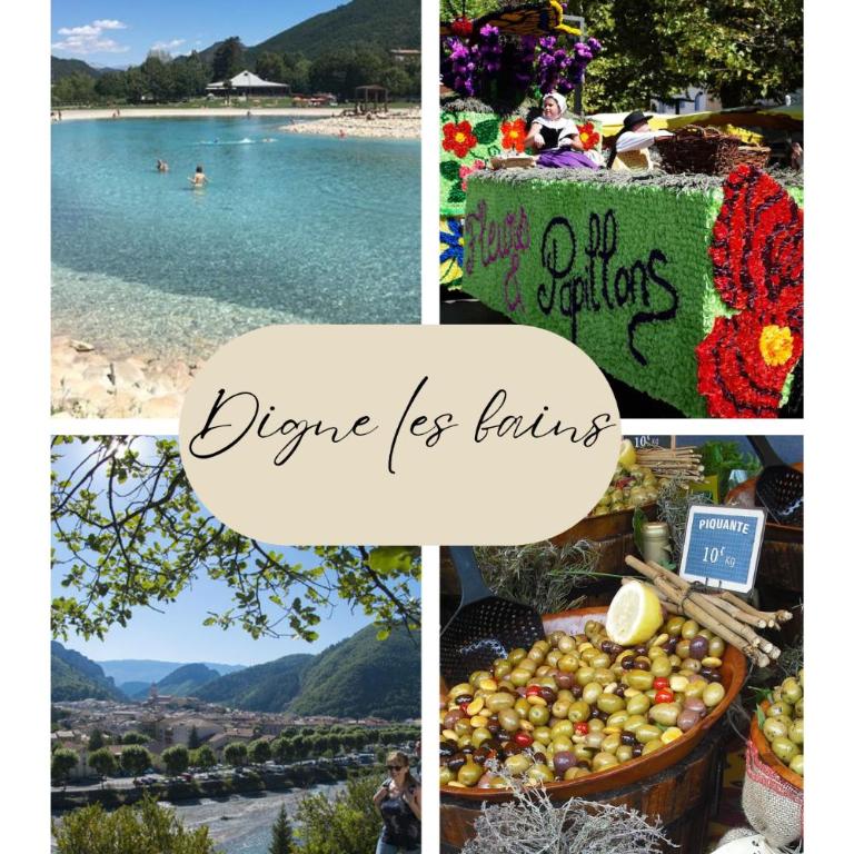 Détente en provence - Appartement 1 Chambre - 29