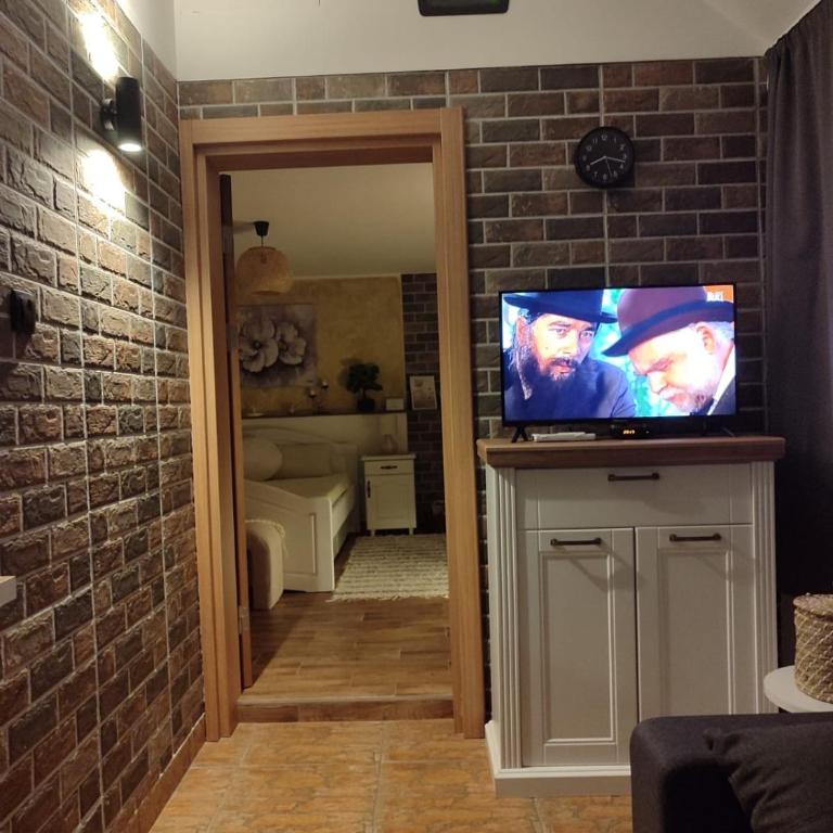 Apartman Ramonda Banja Koviljača - Apartman sa 1 Spavaćom Sobom - 13