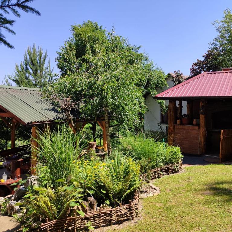 Apartman Ramonda Banja Koviljača - Apartman sa 1 Spavaćom Sobom - 25