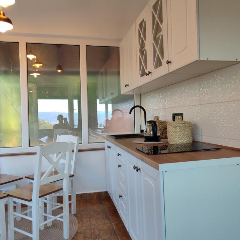 Apartman Ramonda Banja Koviljača - Apartman sa 1 Spavaćom Sobom - 16