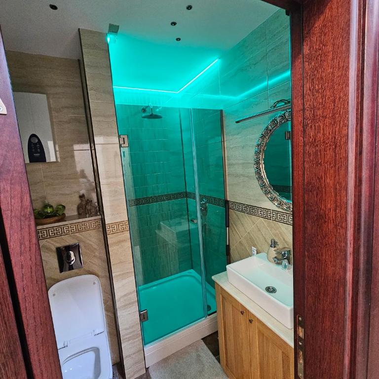 Gold Studio - Apartman sa 1 Spavaćom Sobom - 20