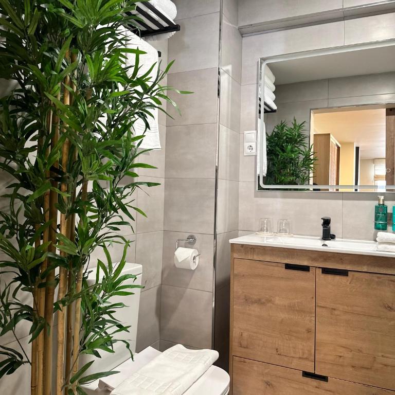 Studio Malaga - Apartamento de 1 dormitorio - 14