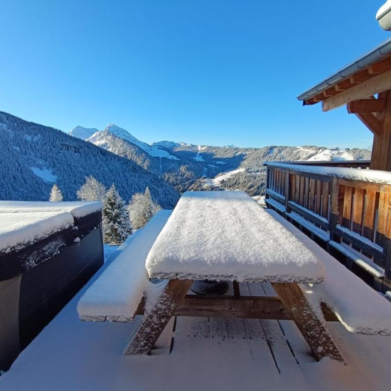 Chalet avec jacuzzi - 150 m des remontées - Chalet - 42