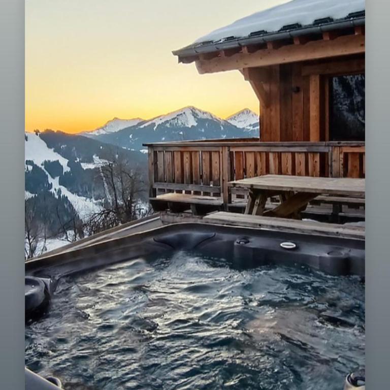 Chalet avec jacuzzi - 150 m des remontées - Chalet - 43