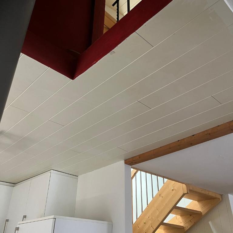 Historische Maisonette-Wohnung mit Gästekarte und Ermässigungen - Apartment - 15