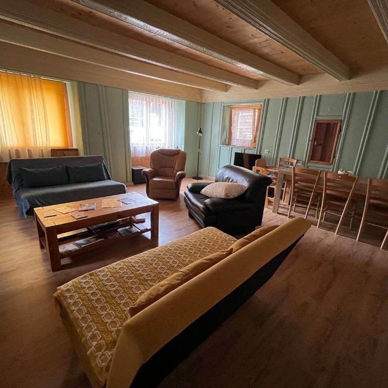Historische Maisonette-Wohnung mit Gästekarte und Ermässigungen - Apartment - 24