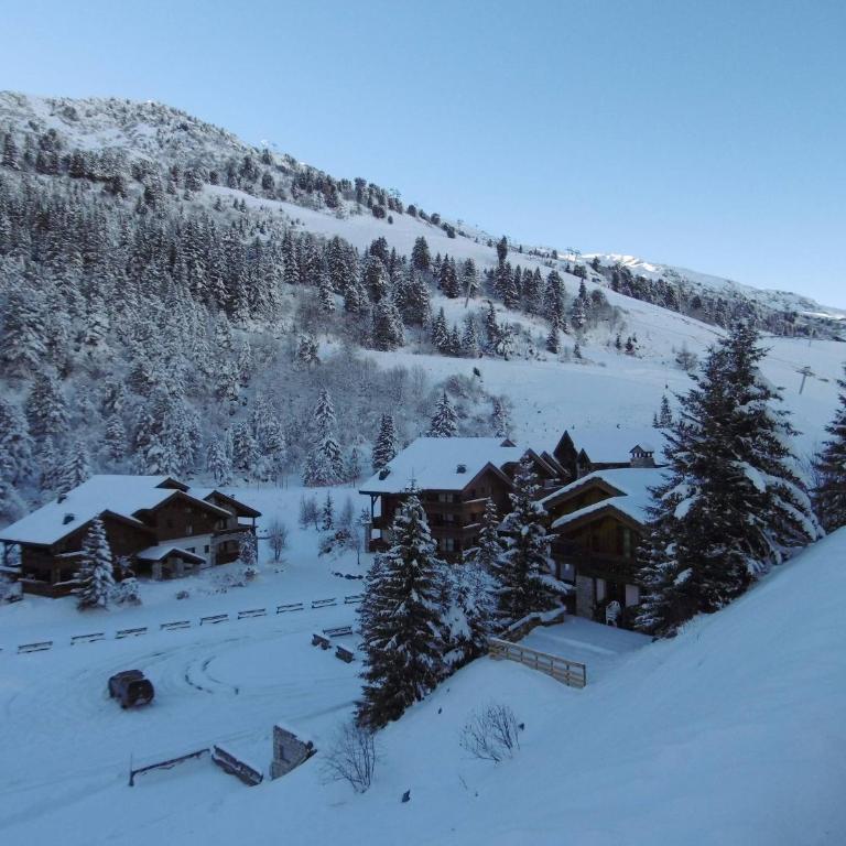 Appartement Méribel Mottaret : 3 chambres, accès facile aux pistes - FR-1-355-200 - Appartement (8 Adultes) - 21