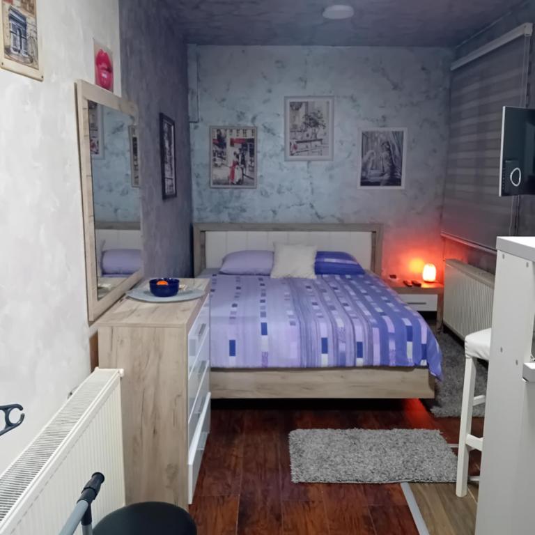 Apartman Park Kragujevac - One-Bedroom Apartment - 17