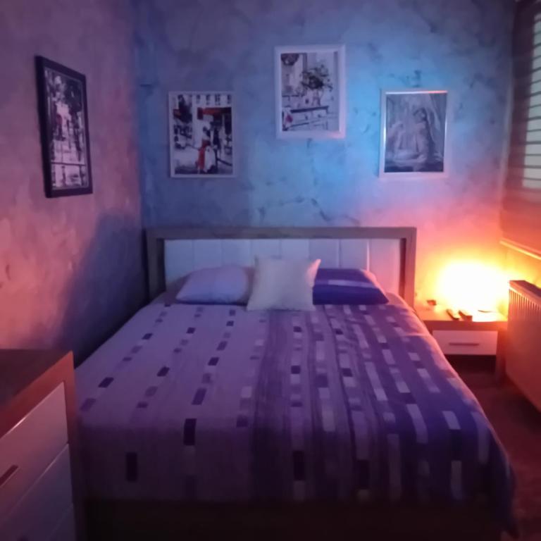 Apartman Park Kragujevac - One-Bedroom Apartment - 16