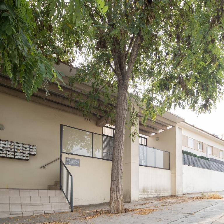 Cimbra 15 - Apartamento de 1 dormitorio - 10