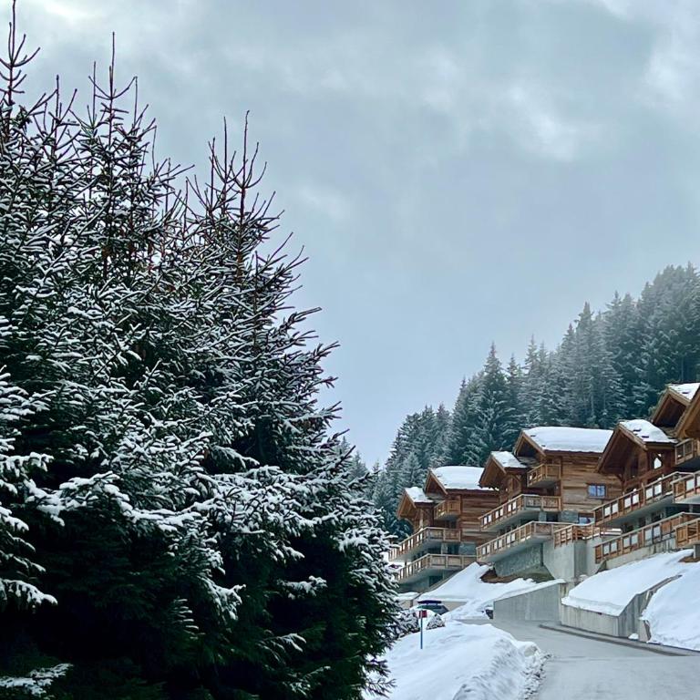 Luxury chalet apartment 4 Valleys - Appartement 2 Chambres Deluxe - 45