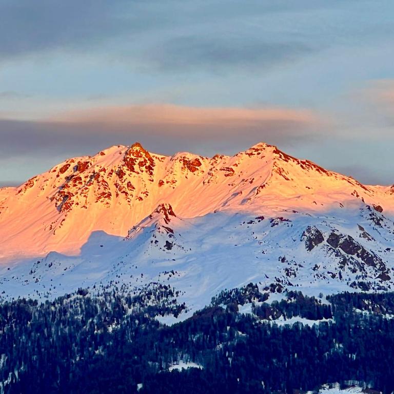 Luxury chalet apartment 4 Valleys - Appartement 2 Chambres Deluxe - 39