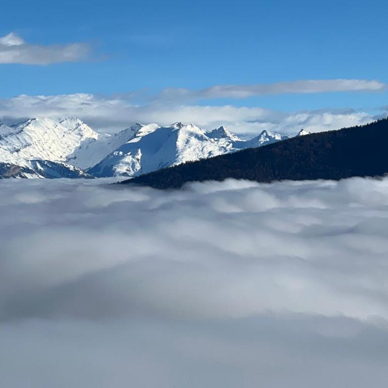 Luxury chalet apartment 4 Valleys - Appartement 2 Chambres Deluxe - 50