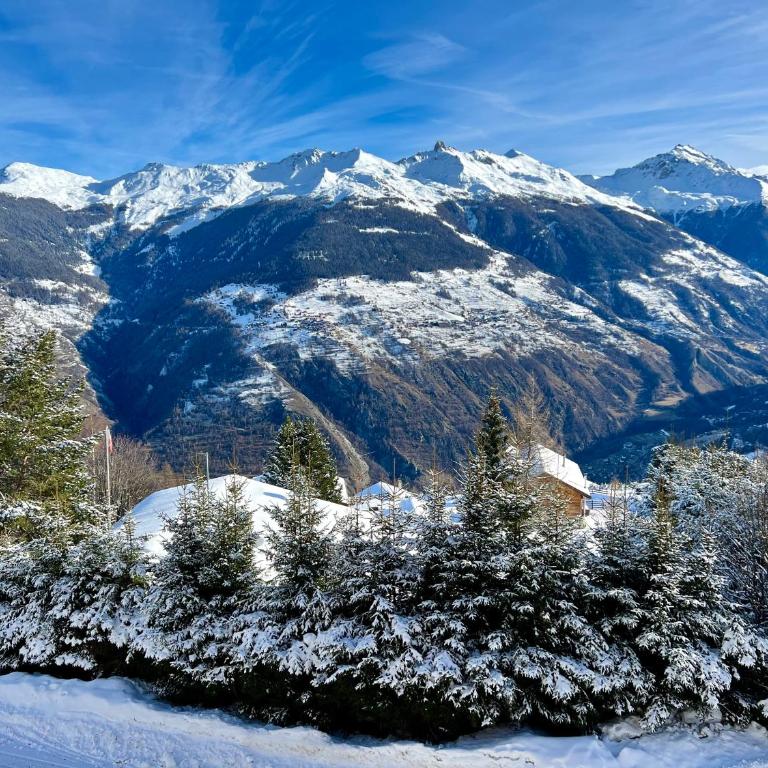 Luxury chalet apartment 4 Valleys - Appartement 2 Chambres Deluxe - 47